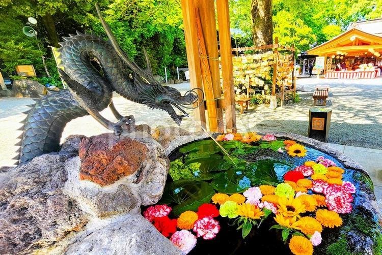 ⛩️ 이즈모 대사 사가미 분사 (이즈모타이샤 사가미분시) 이미지 6